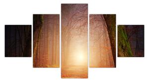 Obraz podzimního lesa v mlze (125x70 cm)