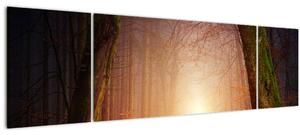 Obraz podzimního lesa v mlze (170x50 cm)