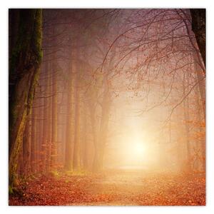 Obraz podzimního lesa v mlze (30x30 cm)