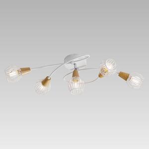 Prezent 92027506 stropní bodové svítidlo Tameta 5x40W|E14