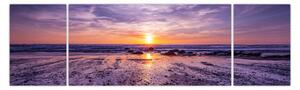Obraz pláže - západ slunce (170x50 cm)