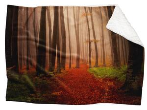 Deka Les na podzim (Rozměr : 150 x 120 cm, Podšití beránkem: ANO)