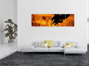 Obraz siluety dravce (170x50 cm)