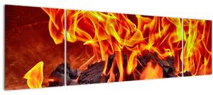 Obraz hořících uhlíků (170x50 cm)