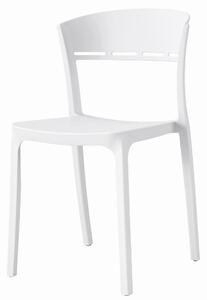 Bílá plastová židle COCO