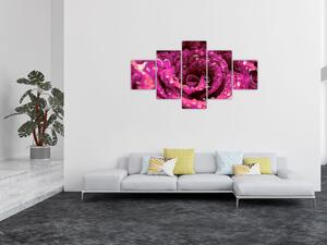 Obraz růžového květu růže (125x70 cm)