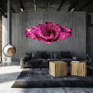 Obraz růžového květu růže (210x100 cm)