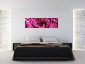 Obraz růžového květu růže (170x50 cm)