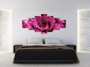 Obraz růžového květu růže (210x100 cm)