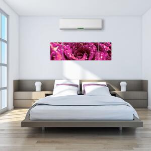 Obraz růžového květu růže (170x50 cm)