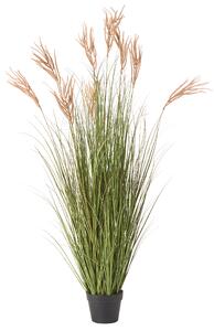 Umělá rostlina CLAW FLOWER 150 cm Zelená
