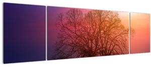 Obraz stromů v mlze (170x50 cm)