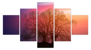 Obraz stromů v mlze (125x70 cm)