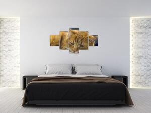 Obraz kočky (125x70 cm)