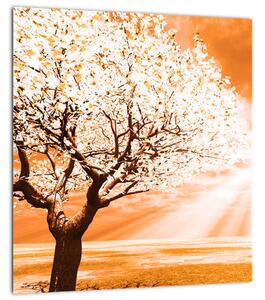 Oranžový obraz stromu (30x30 cm)
