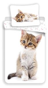 Jerry Fabrics Povlečení fototisk Kitten white 140x200, 70x90 cm