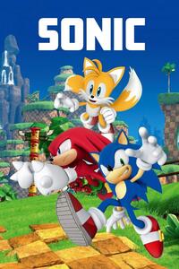 Jerry Fabrics Dětská fleecová deka Sonic 023 100x150 cm
