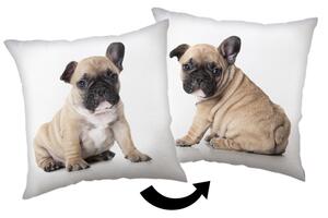 Jerry Fabrics Polštářek Bulldog 40x40 cm