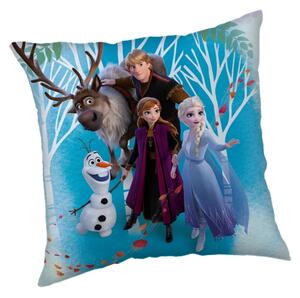 Jerry Fabrics Polštářek Frozen 02 Family 40x40 cm