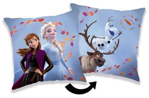 Jerry Fabrics Polštářek Frozen 2 Wind 02 40x40 cm