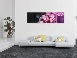 Obraz květů stromu (170x50 cm)