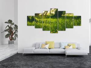 Obraz přírody - louka (210x100 cm)