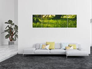 Obraz přírody - louka (170x50 cm)