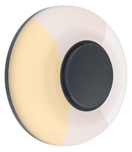 Paulmann 94955 - LED/20,5W IP65 Stm venkovní nástěnné svítidlo AUREVA 230V