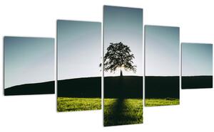 Obraz přírody - strom (125x70 cm)