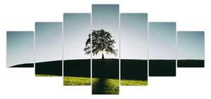 Obraz přírody - strom (210x100 cm)