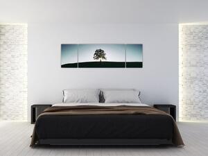 Obraz přírody - strom (170x50 cm)