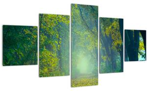 Obraz cesty lemované stromy (125x70 cm)