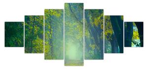 Obraz cesty lemované stromy (210x100 cm)