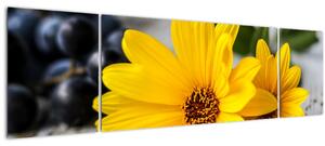 Obraz žlutých květů (170x50 cm)