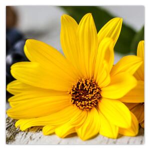 Obraz žlutých květů (30x30 cm)