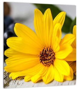 Obraz žlutých květů (30x30 cm)