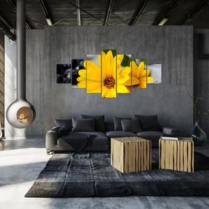 Obraz žlutých květů (210x100 cm)