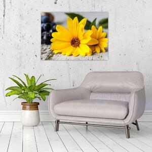 Obraz žlutých květů (70x50 cm)