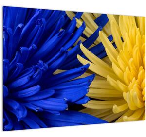 Obraz - detail květů (70x50 cm)
