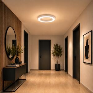 Immax NEO PASTEL SLIM Smart stropní svítidlo 60 x 7cm 53W bílé Zigbee 3.0