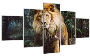 Obraz lva v přírodě (125x70 cm)