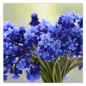 Obraz kytice modrých květů (30x30 cm)
