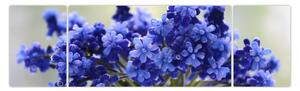 Obraz kytice modrých květů (170x50 cm)