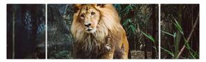 Obraz lva v přírodě (170x50 cm)