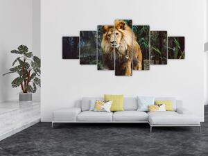Obraz lva v přírodě (210x100 cm)