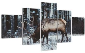 Obraz - jelen v zimě (125x70 cm)