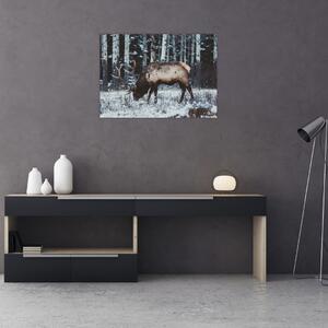 Obraz - jelen v zimě (70x50 cm)