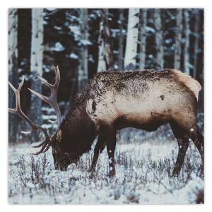 Obraz - jelen v zimě (30x30 cm)