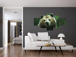 Obraz medvěda (125x70 cm)