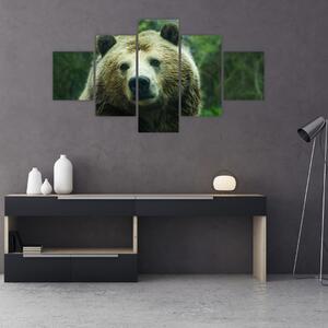 Obraz medvěda (125x70 cm)